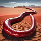 The Mongolian Death Worm