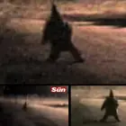 The Dwarf Goblin: Uncovering the Truth Behind the Legend