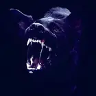 بنت حفيظ