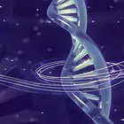 مولود من أب لم يولد