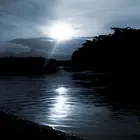 ود البحر