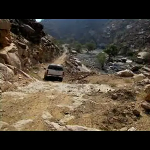 بين الأحراش