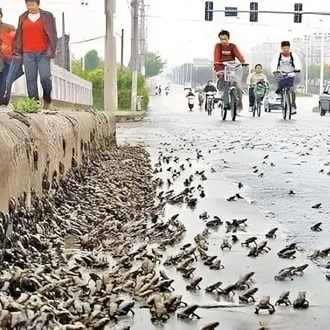 حيوانات تستشعر الزلازل