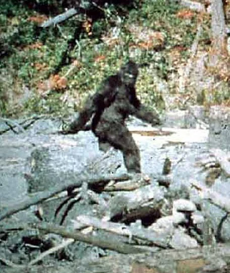 ذو القدم الكبيرة Bigfoot