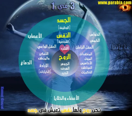 3 في 1