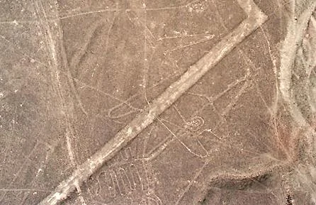 حوت في خطوط نازكا