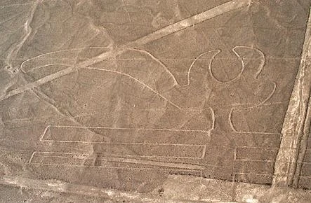 ببغاء في خطوط نازكا - بيرو