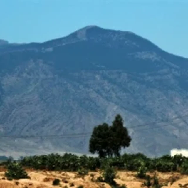 جبل الشعانبي