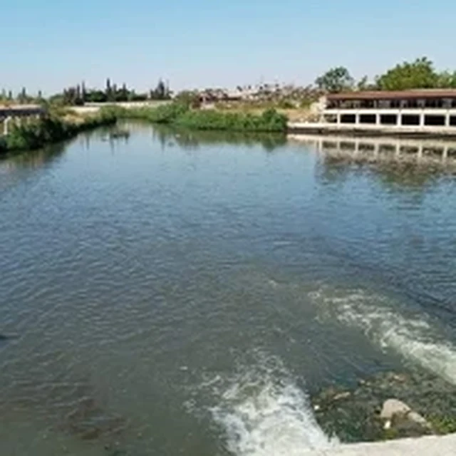 بيت ديك الجن