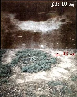 الدائرة المتوهجة التي زعم أن الطبق الطائر خلفها ورائه ، بعد عشرة دقائق من المشاهدة وبعد 42 شهراً