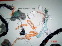 other knots found !